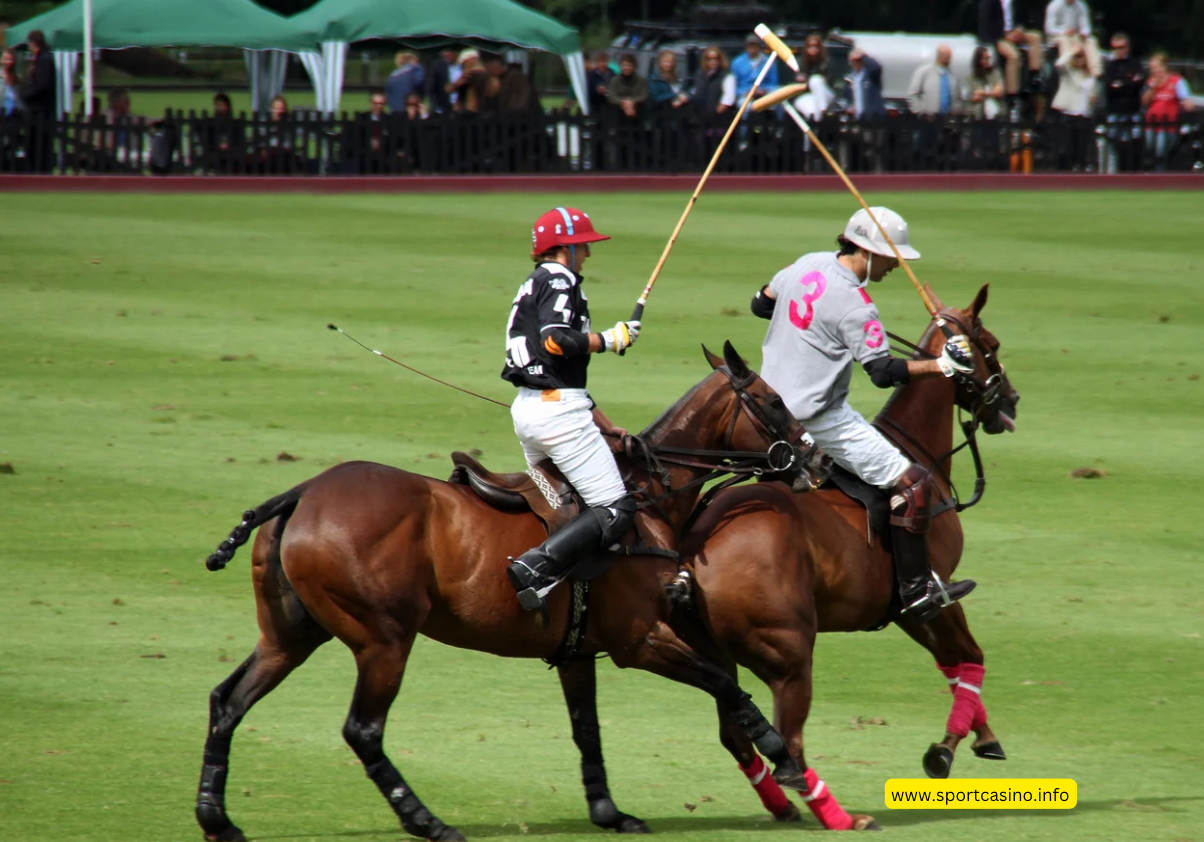 Understand the Fundamentals of Polo Rules for Beginners